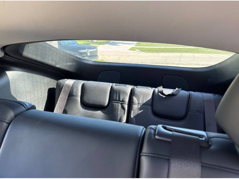 2022 Tesla Model Y view 6