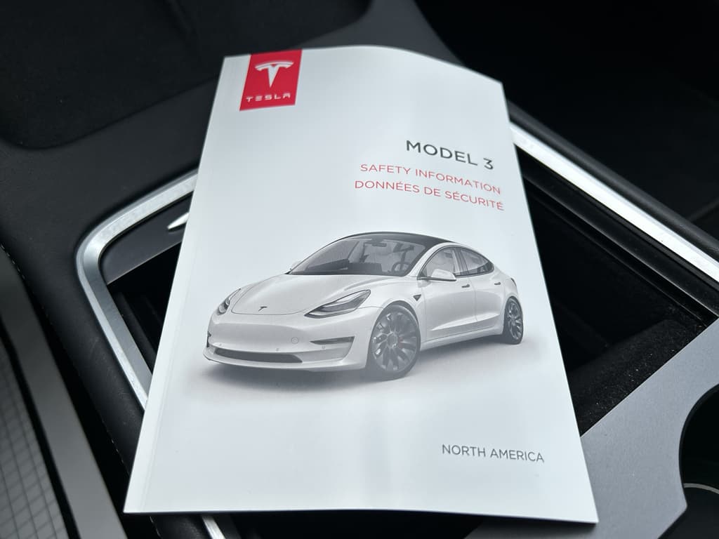 2022 Tesla Model 3 view 18