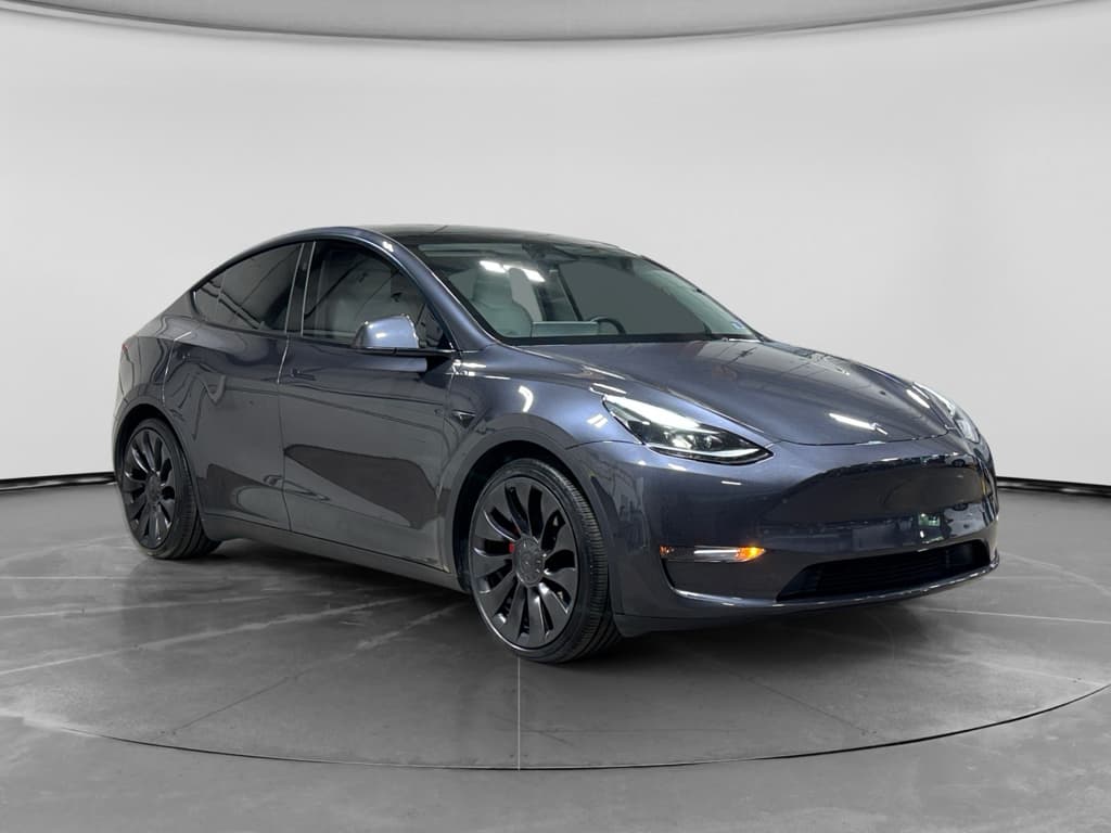 2025 Tesla Model Y view 4