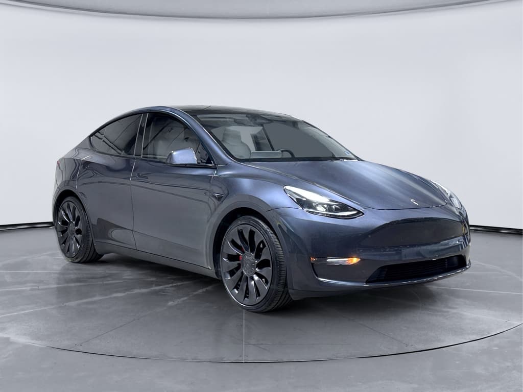 2025 Tesla Model Y view 4