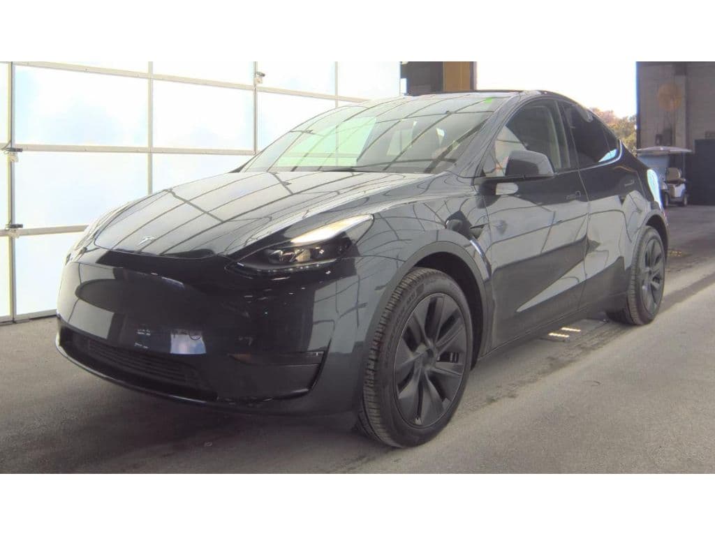 2025 Tesla Model Y view 1
