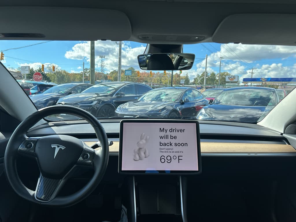 2019 Tesla Model 3 view 13