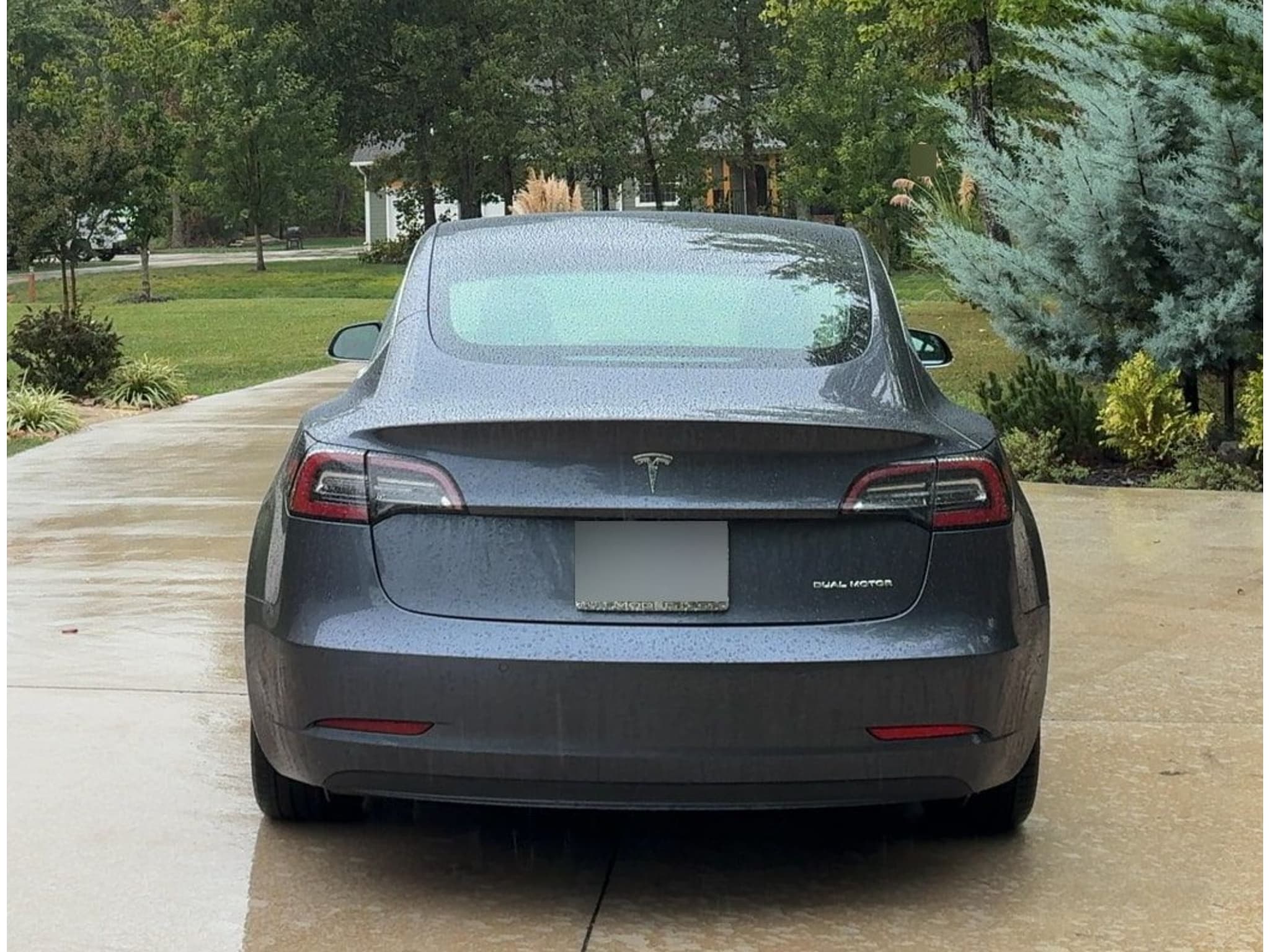 2019 Tesla Model 3 view 3
