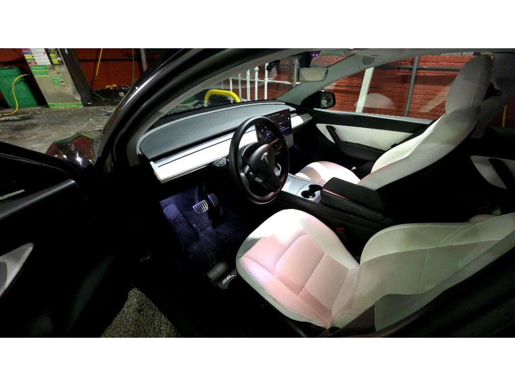 2022 Tesla Model Y view 5