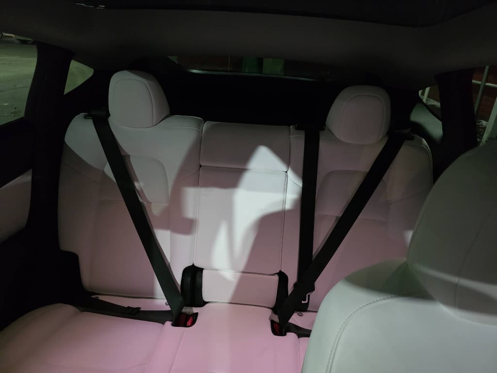 2022 Tesla Model Y view 6