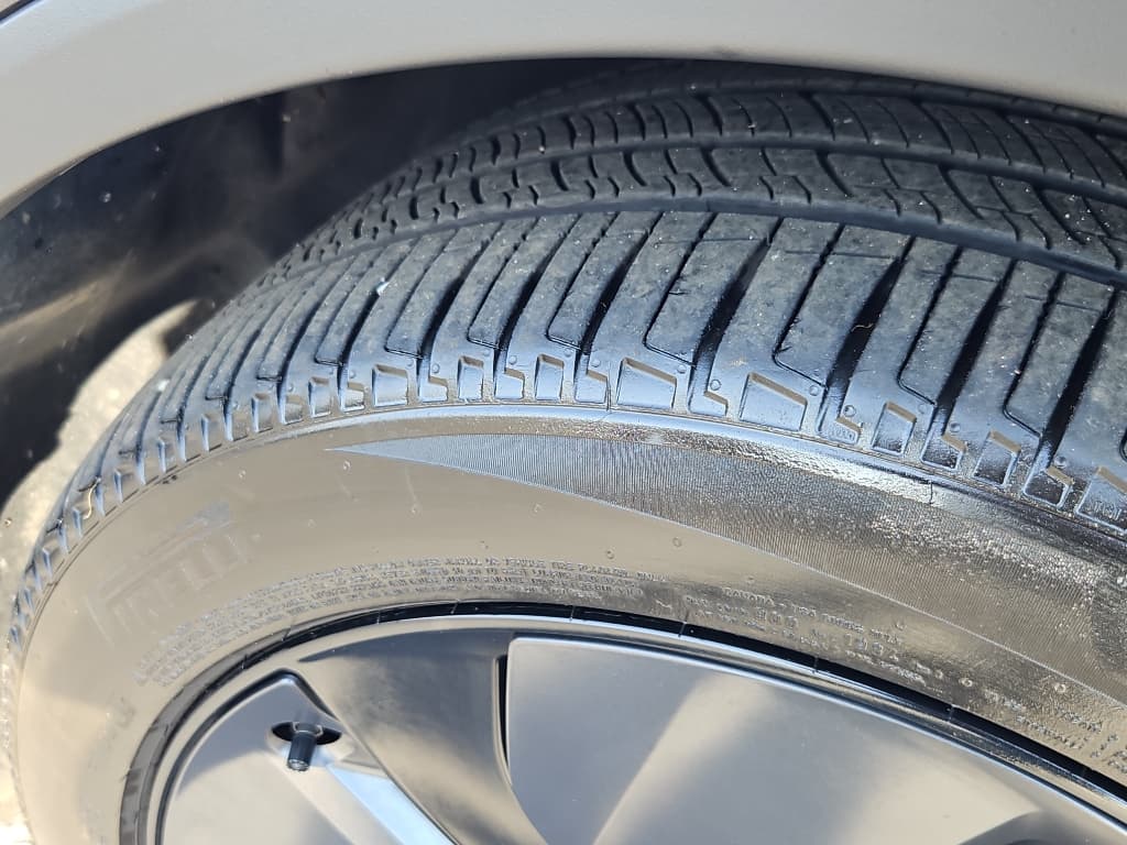 2026 Tesla Model Y view 30