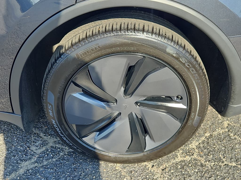 2026 Tesla Model Y view 31