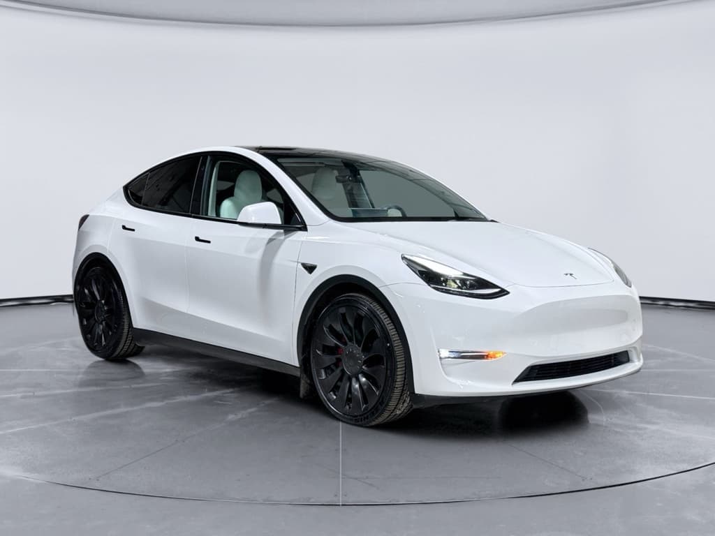 2022 Tesla Model Y view 4