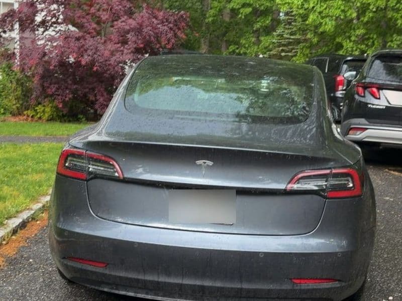 2019 Tesla Model 3 view 4