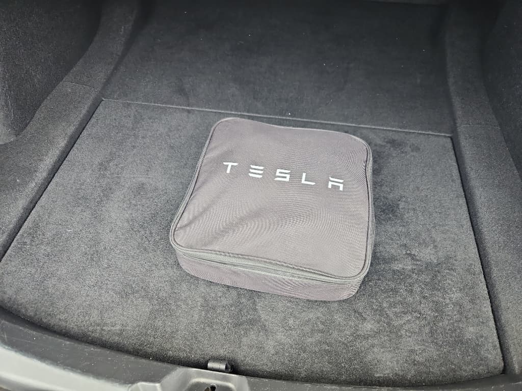2019 Tesla Model 3 view 6