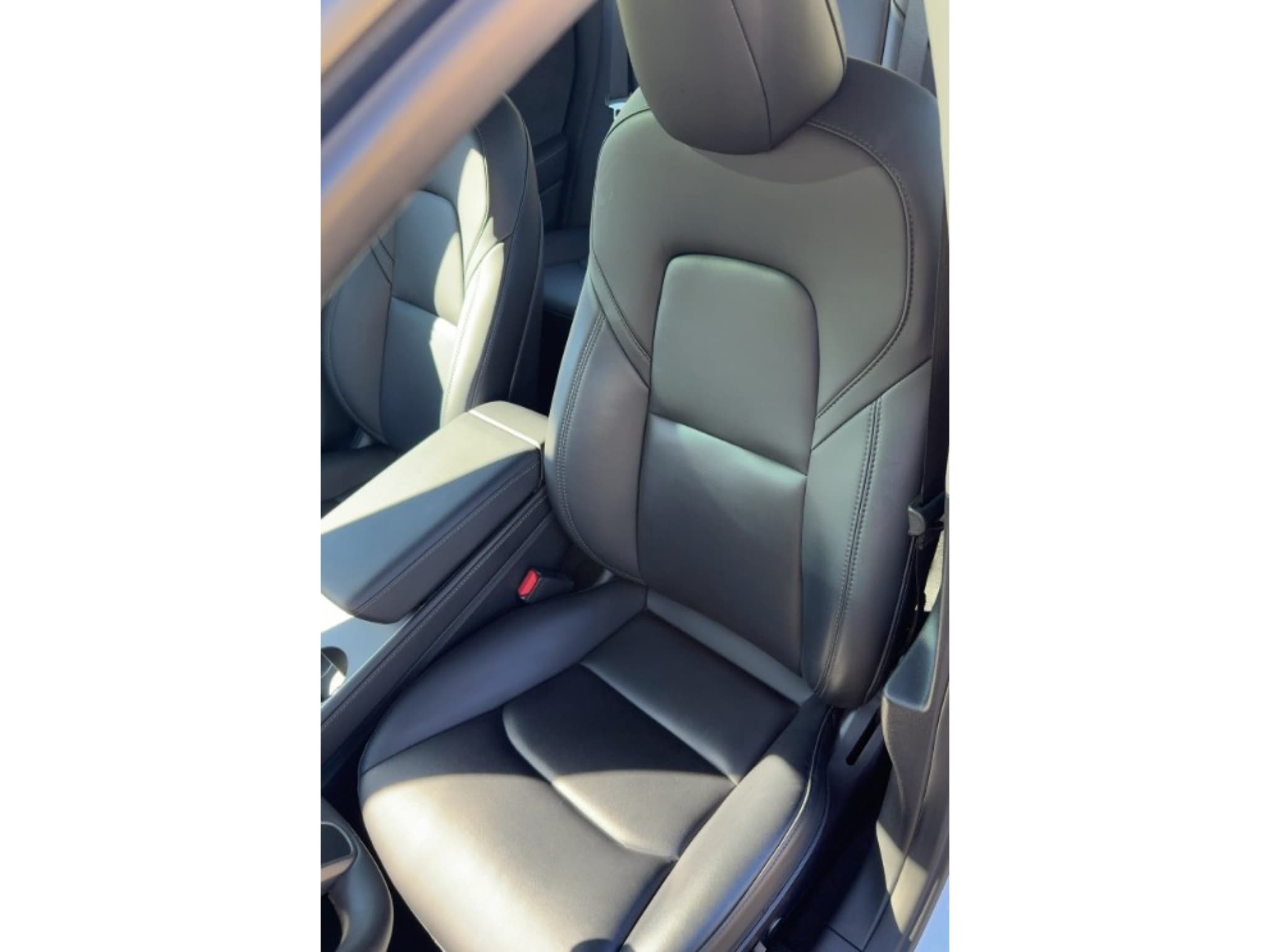 2023 Tesla Model 3 view 5