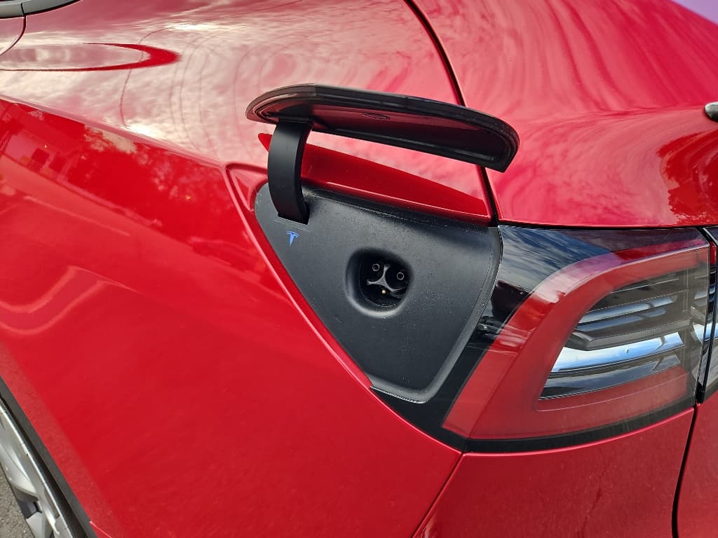 2022 Tesla Model Y view 5