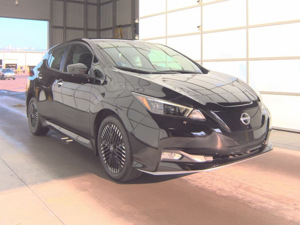 2024 Nissan LEAF view 2