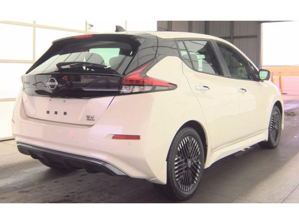 2024 Nissan LEAF view 3