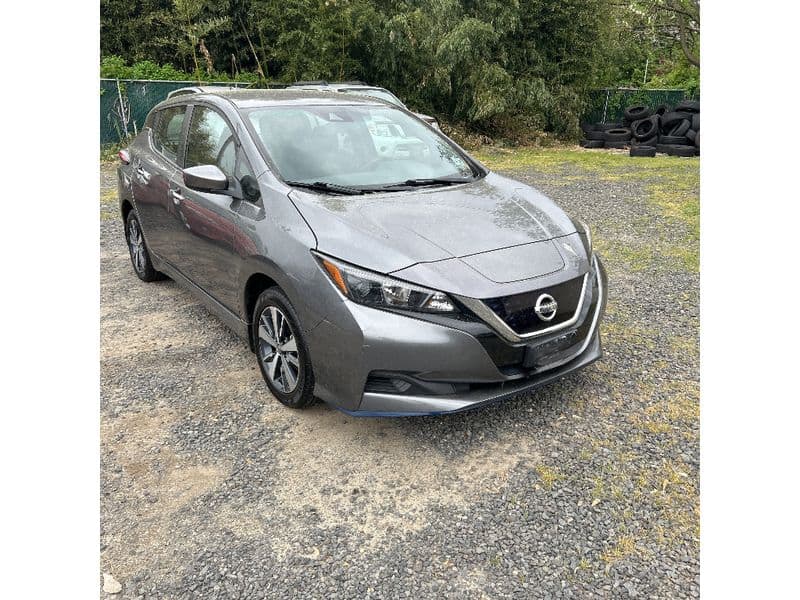 2022 Nissan LEAF view 2