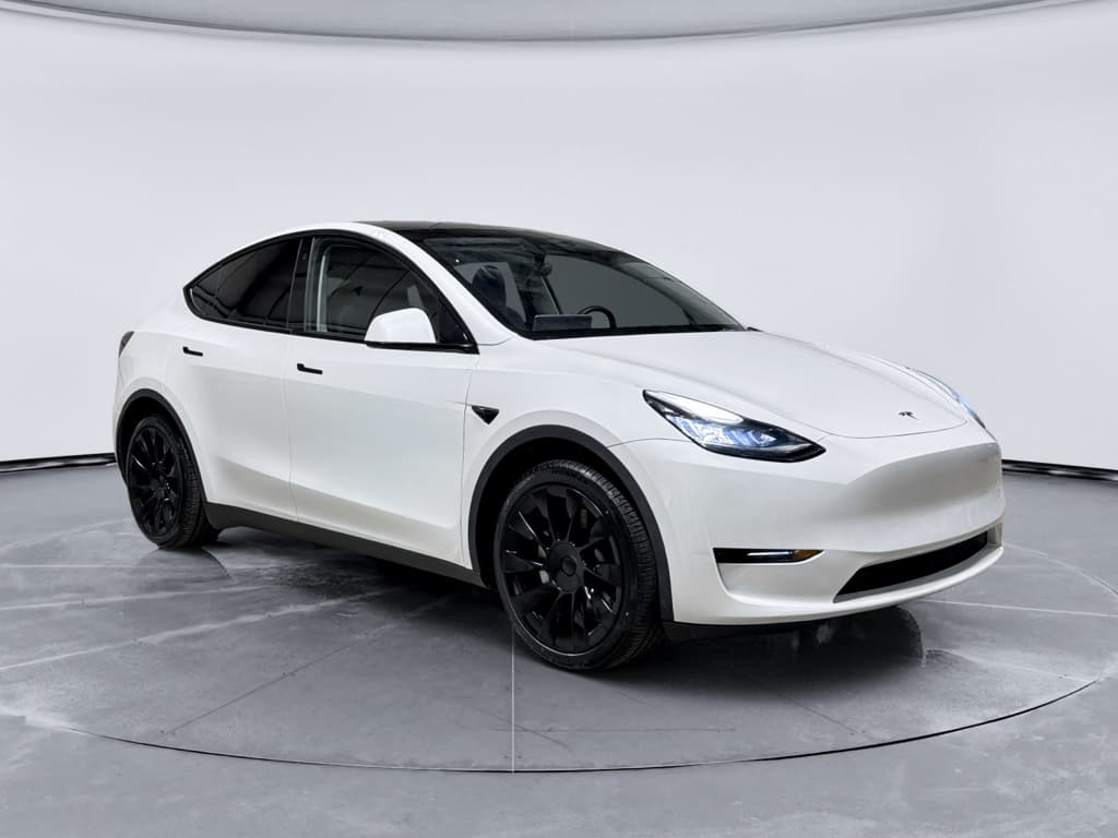2023 Tesla Model Y view 4
