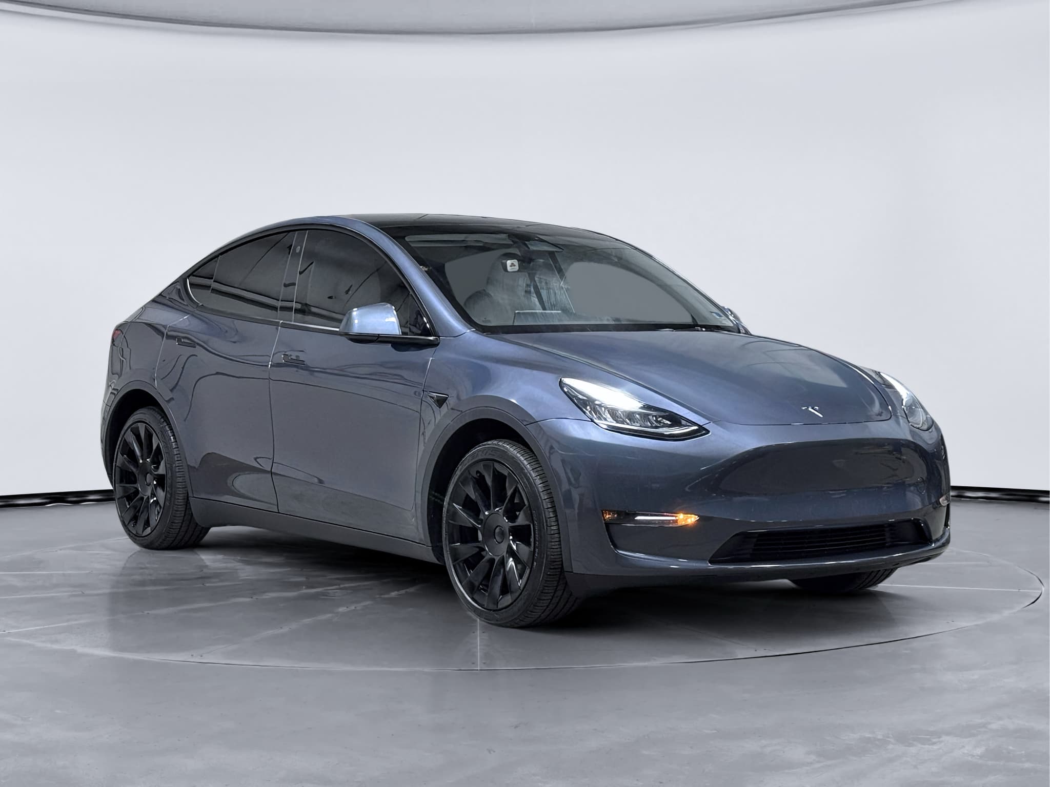 2023 Tesla Model Y view 4