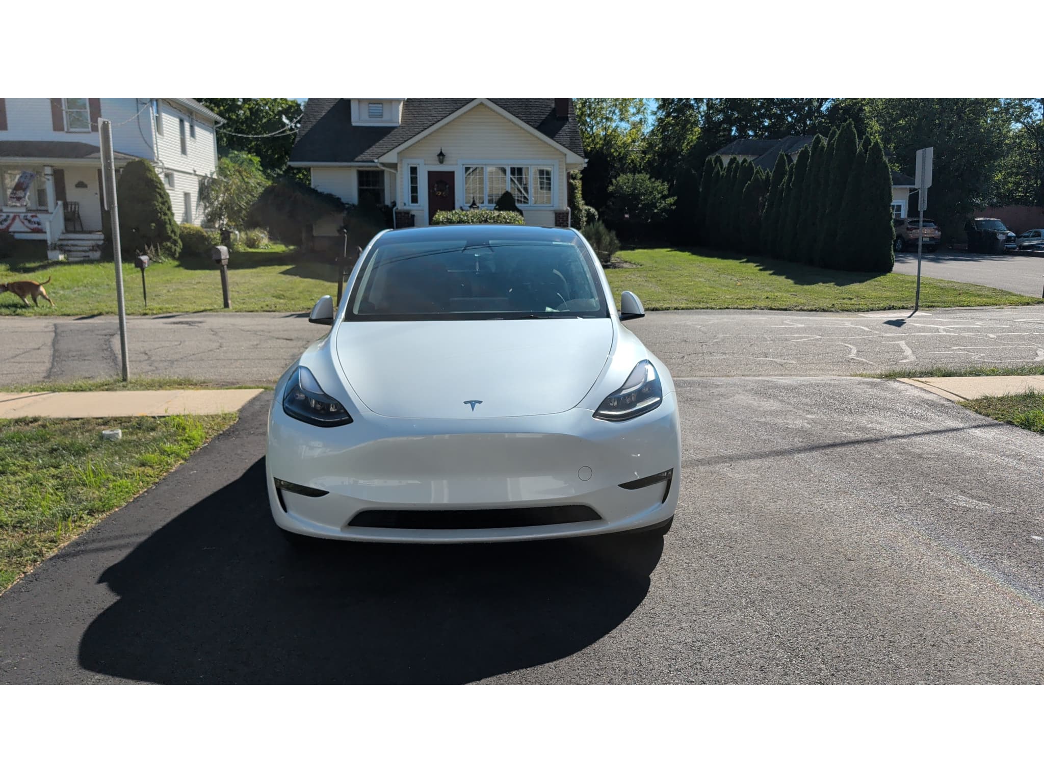 2023 Tesla Model Y view 2