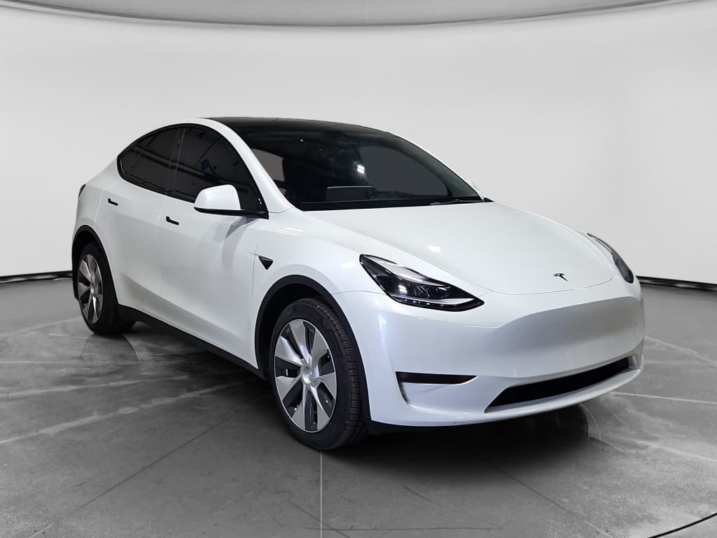 2023 Tesla Model Y view 4
