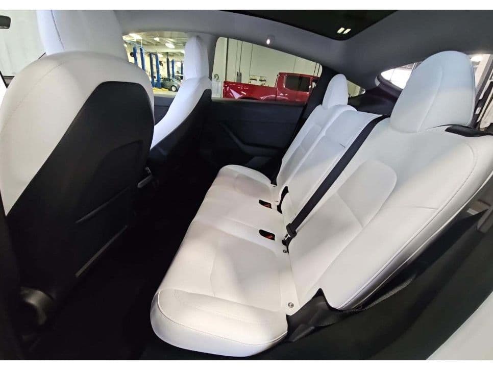 2023 Tesla Model Y view 6