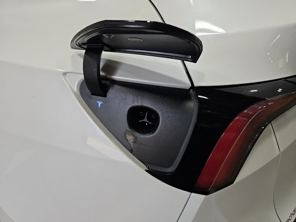 2026 Tesla Model Y view 5