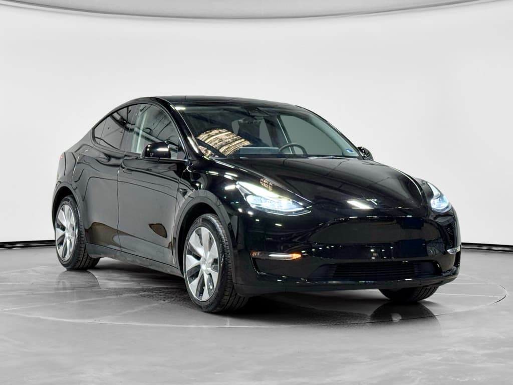 2023 Tesla Model Y view 4