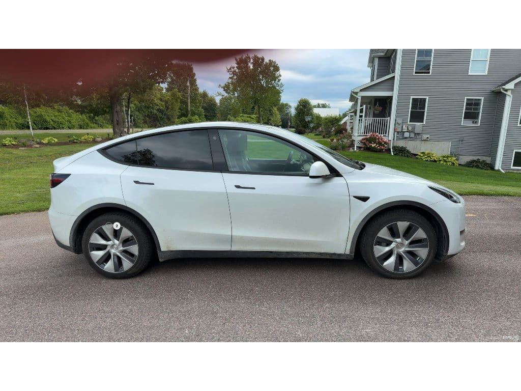 2023 Tesla Model Y view 4