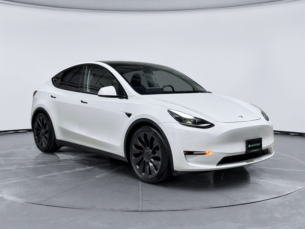 2023 Tesla Model Y view 4