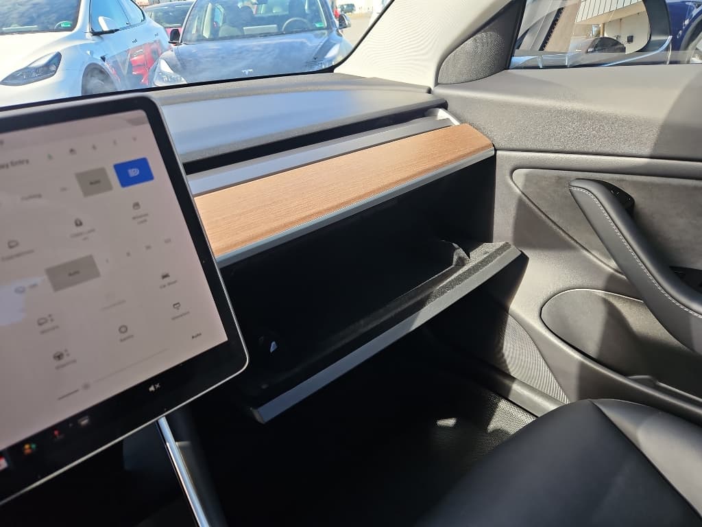 2020 Tesla Model 3 view 18