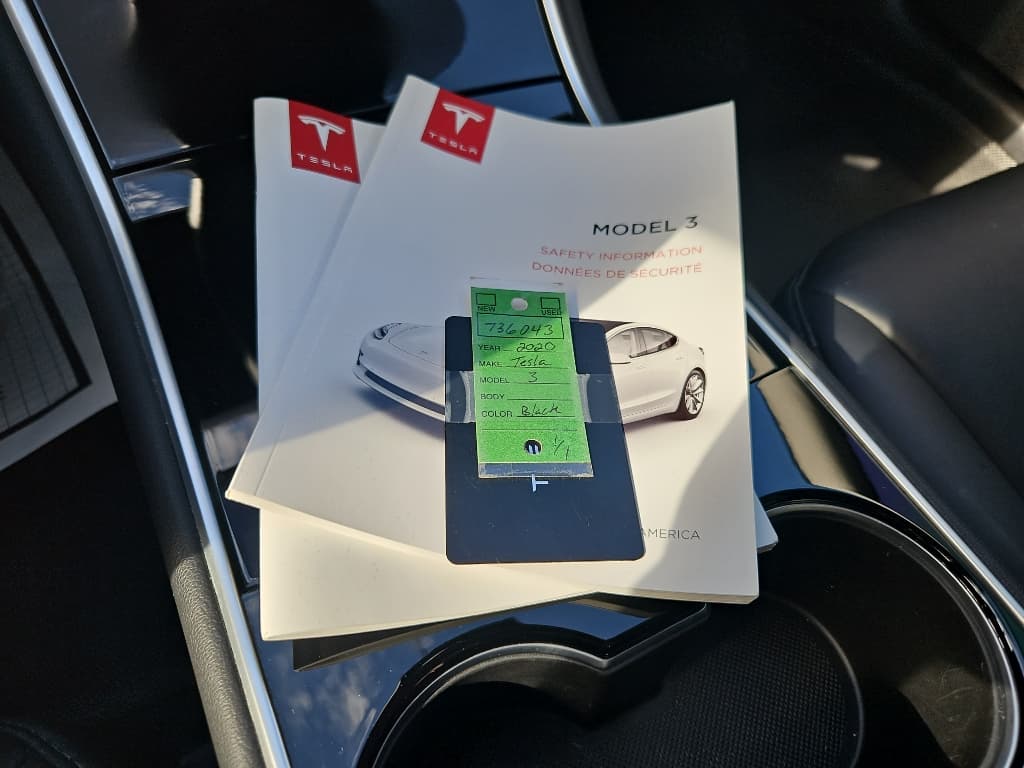 2020 Tesla Model 3 view 19