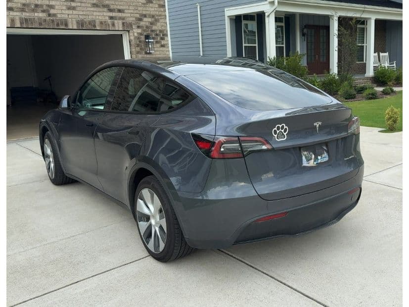 2023 Tesla Model Y view 4