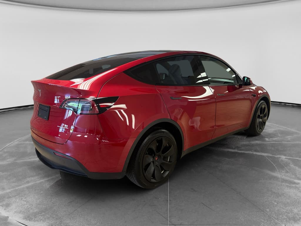 2023 Tesla Model Y view 4