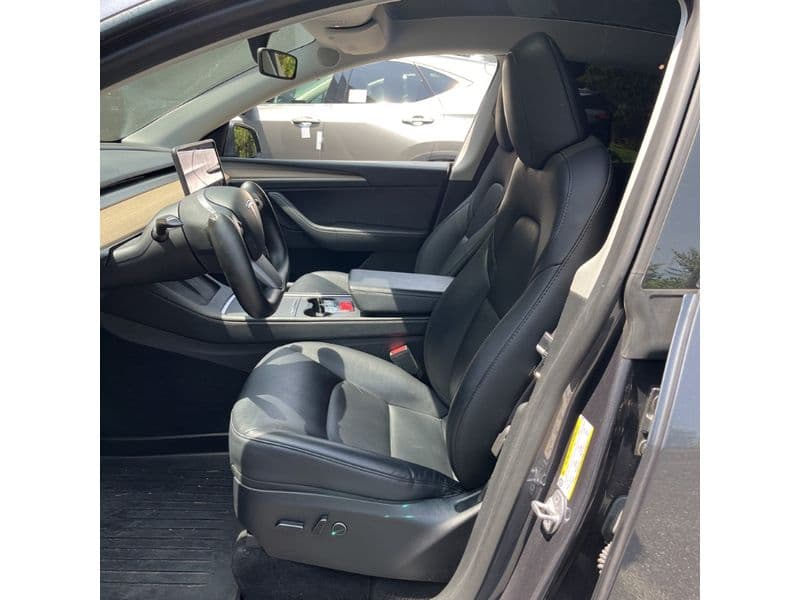 2023 Tesla Model Y view 5