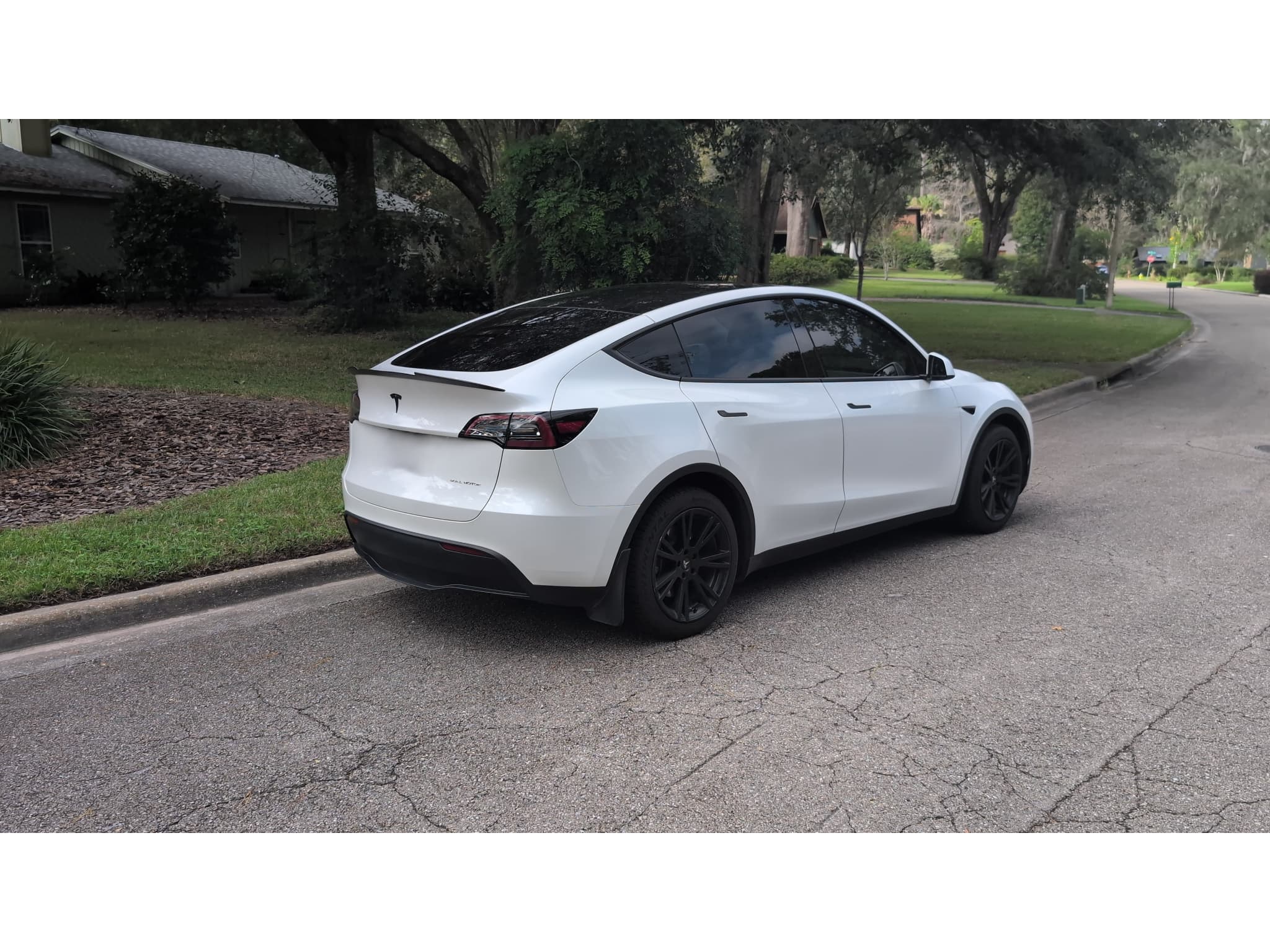 2023 Tesla Model Y view 3