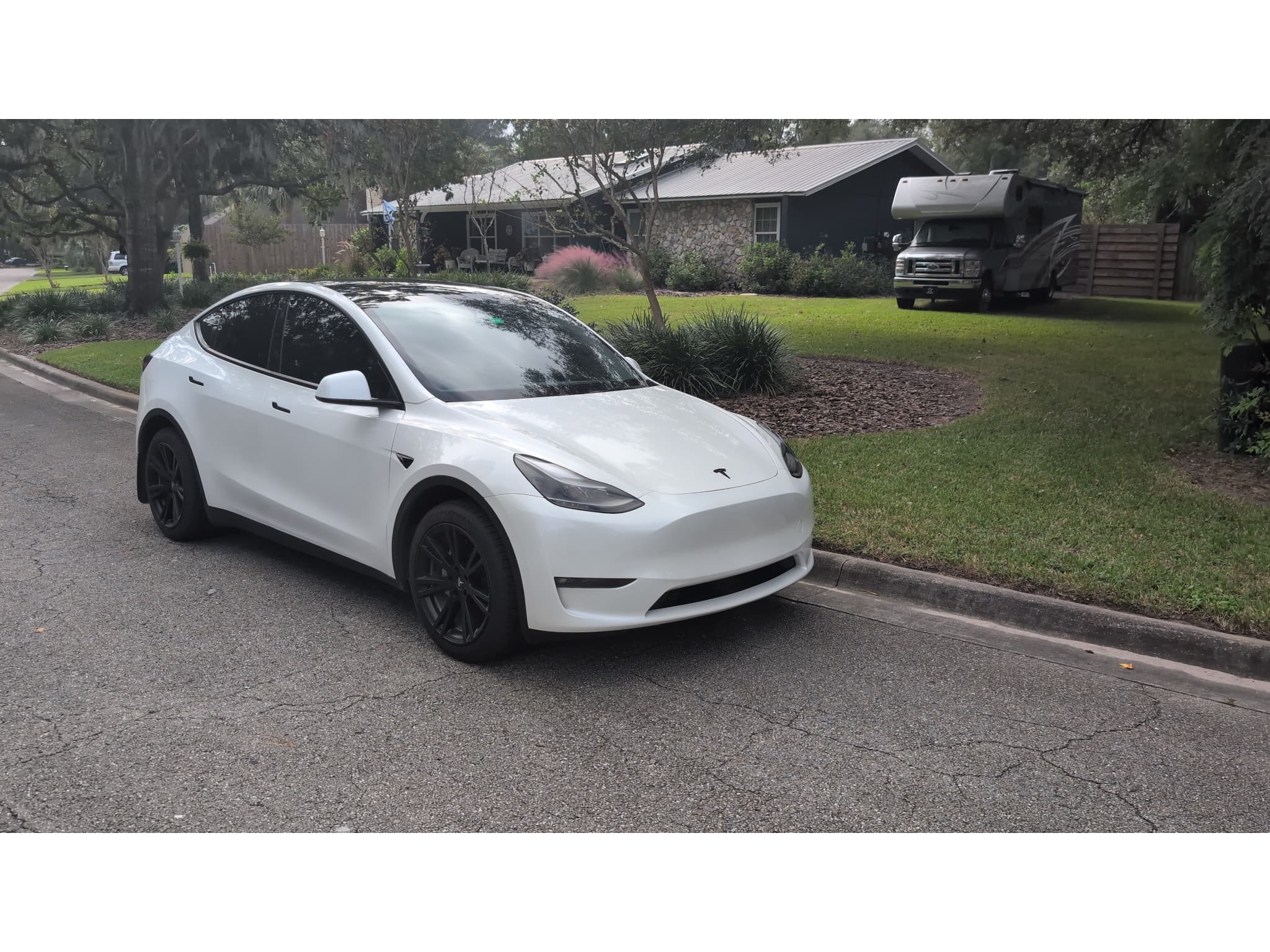 2023 Tesla Model Y view 4