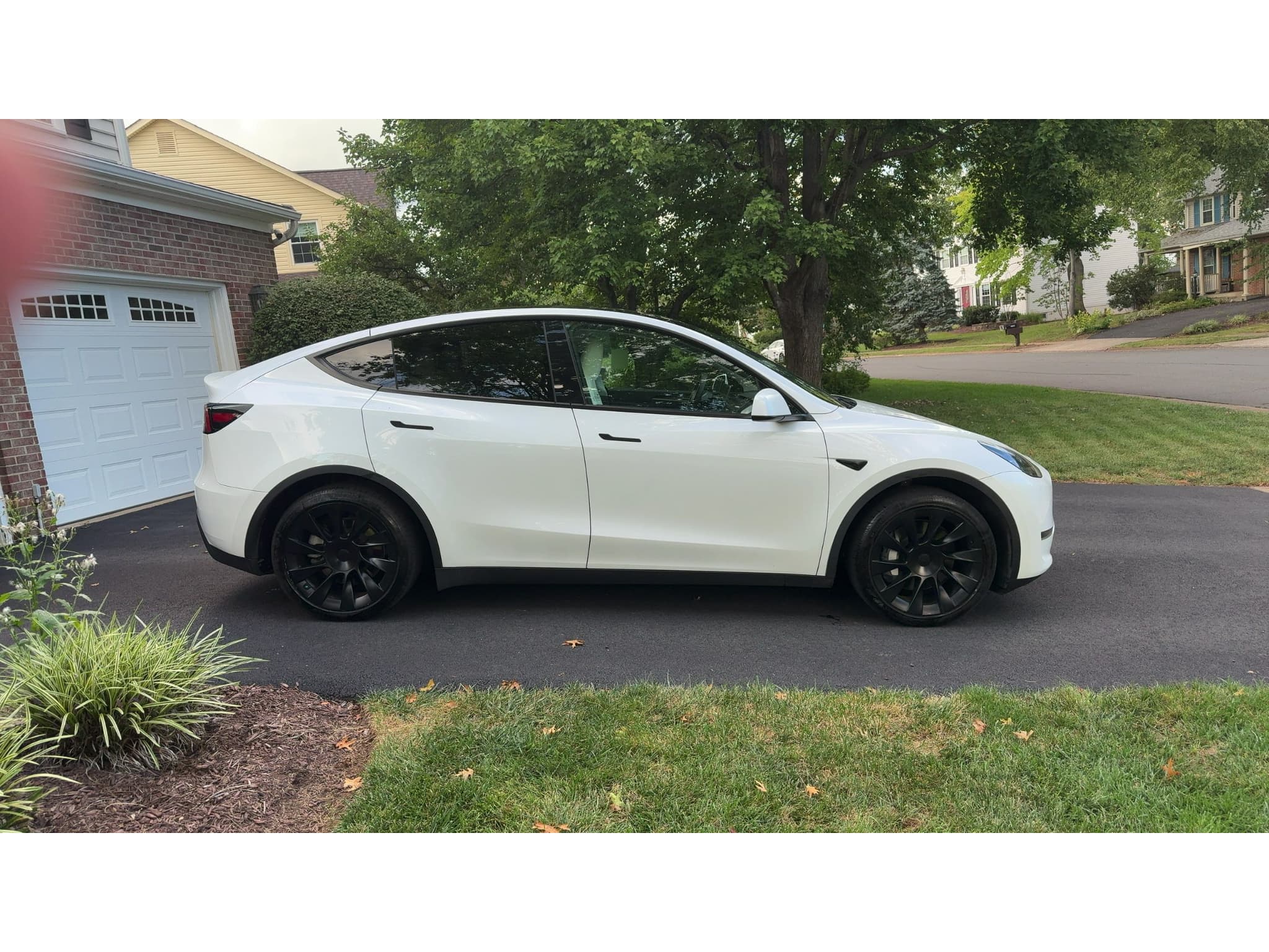 2023 Tesla Model Y view 6