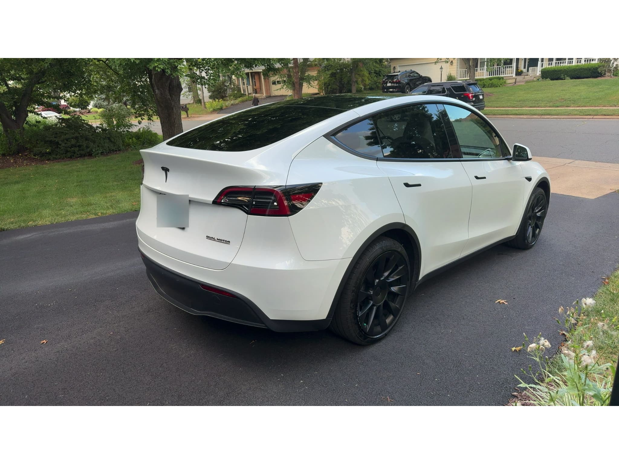 2023 Tesla Model Y view 5