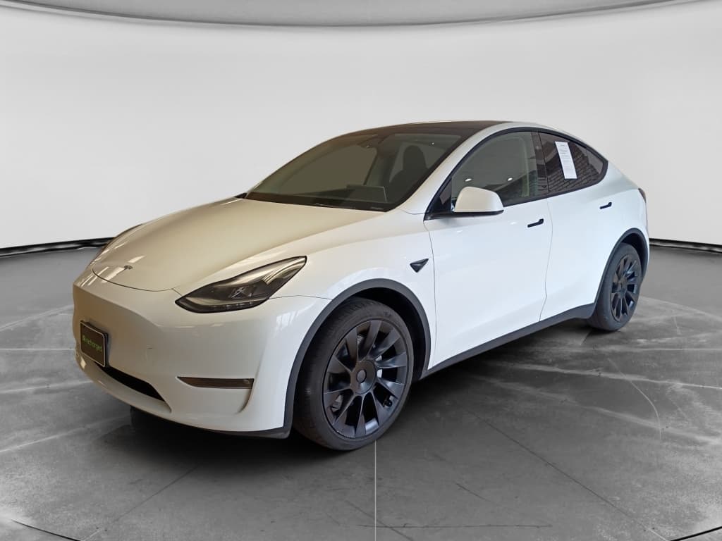 2023 Tesla Model Y view 2