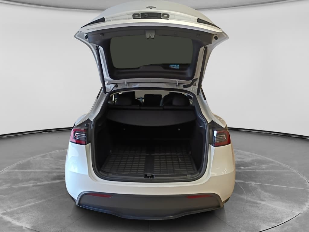 2023 Tesla Model Y view 6