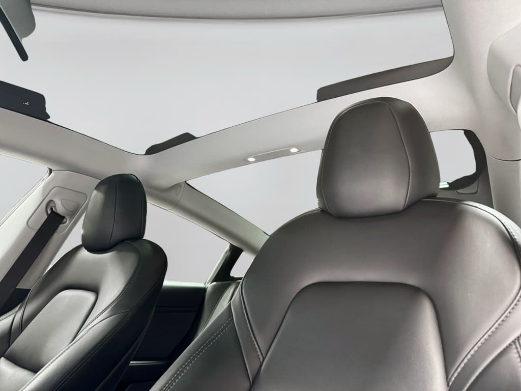 2021 Tesla Model 3 view 24