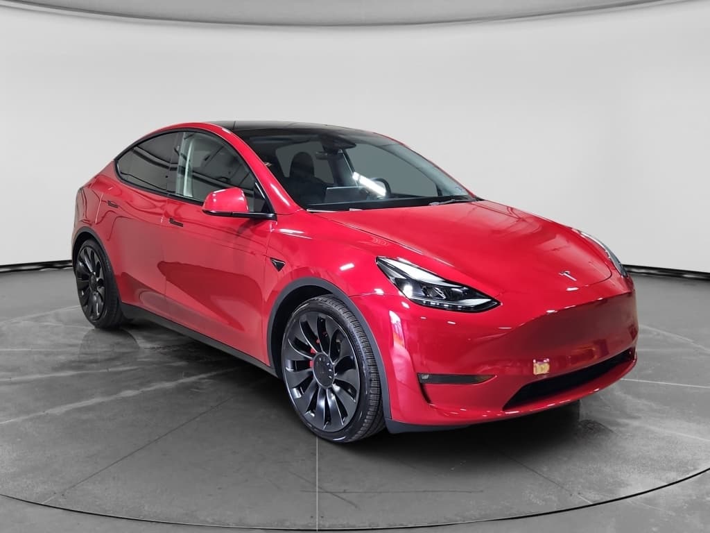 2023 Tesla Model Y view 4
