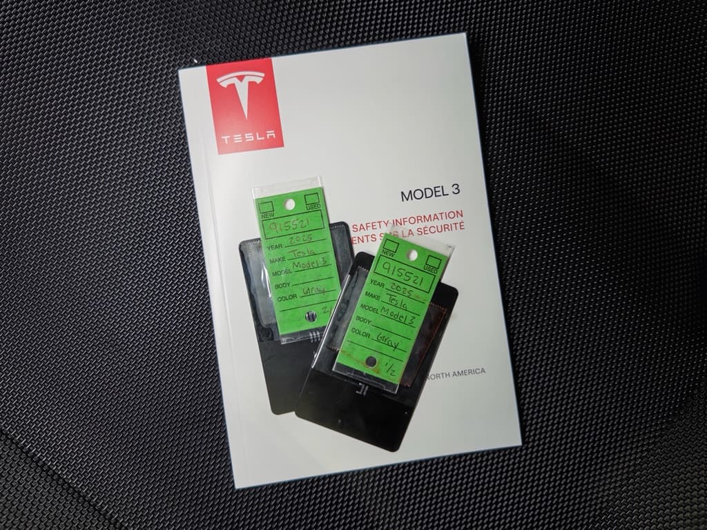 2025 Tesla Model 3 view 22
