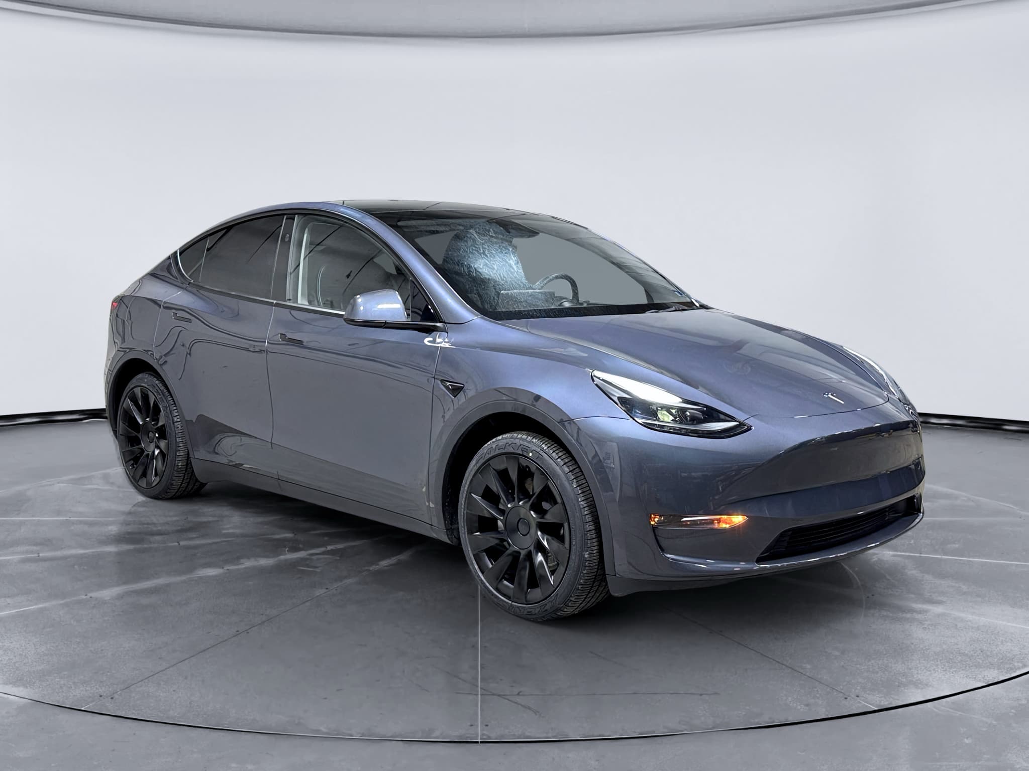2023 Tesla Model Y view 4