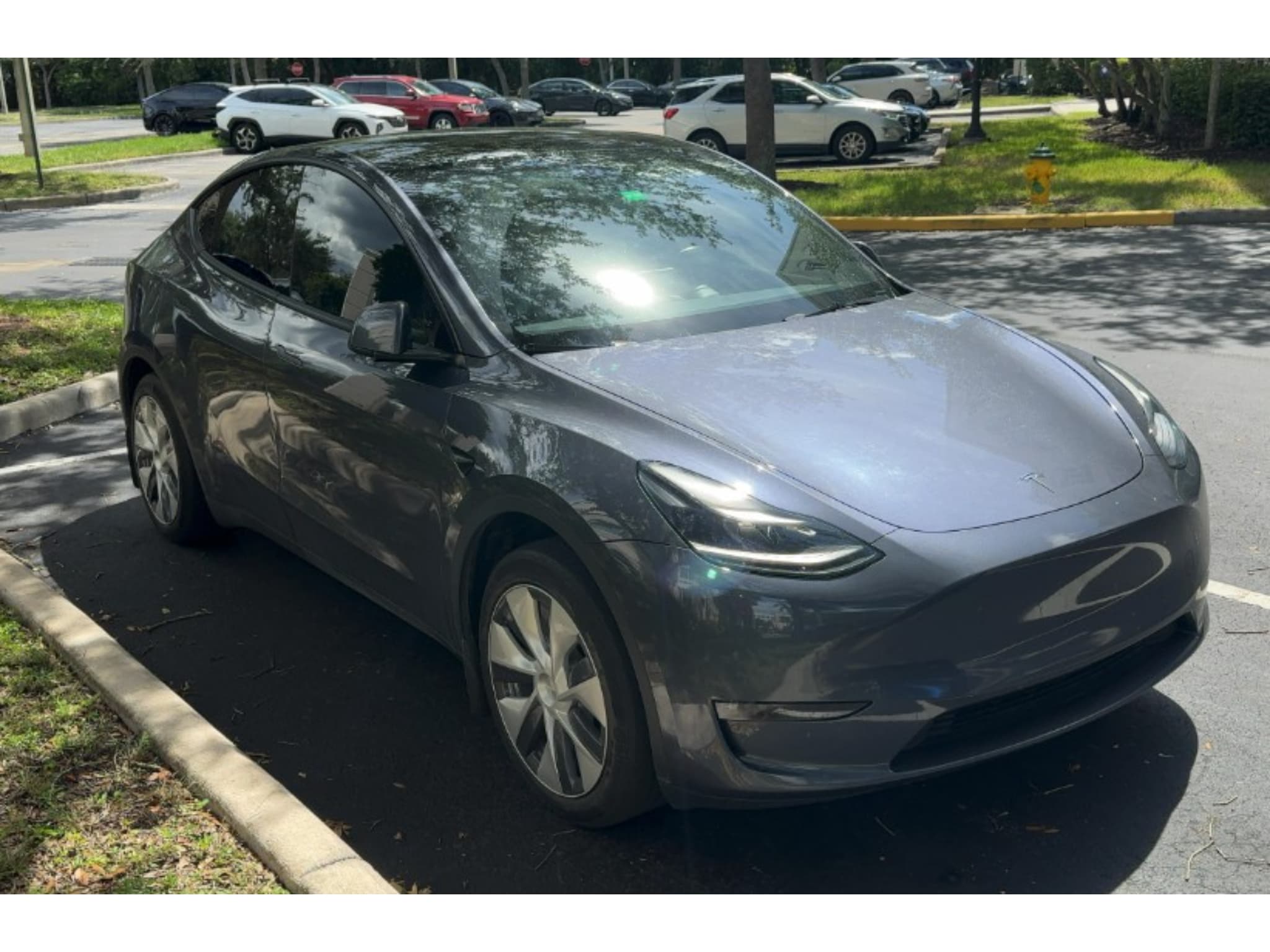 2023 Tesla Model Y view 4