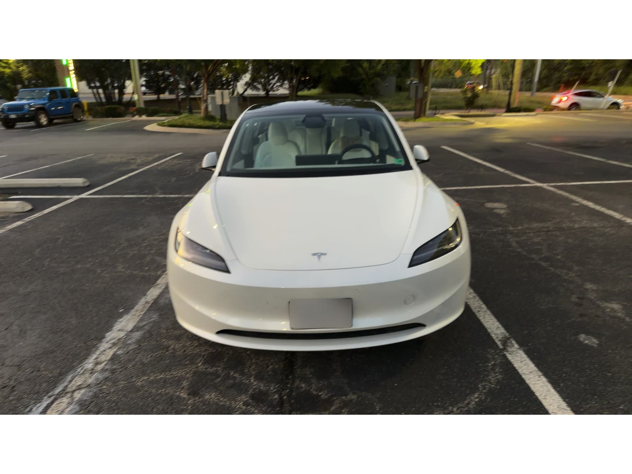 2025 Tesla Model 3 view 5