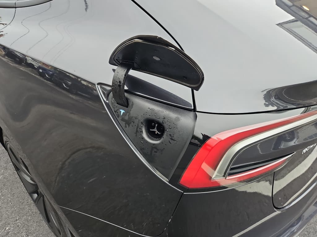 2025 Tesla Model 3 view 5