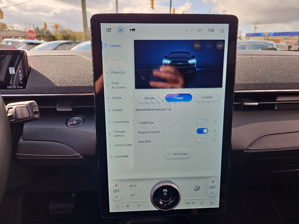 2021 Ford Mustang Mach-E view 11