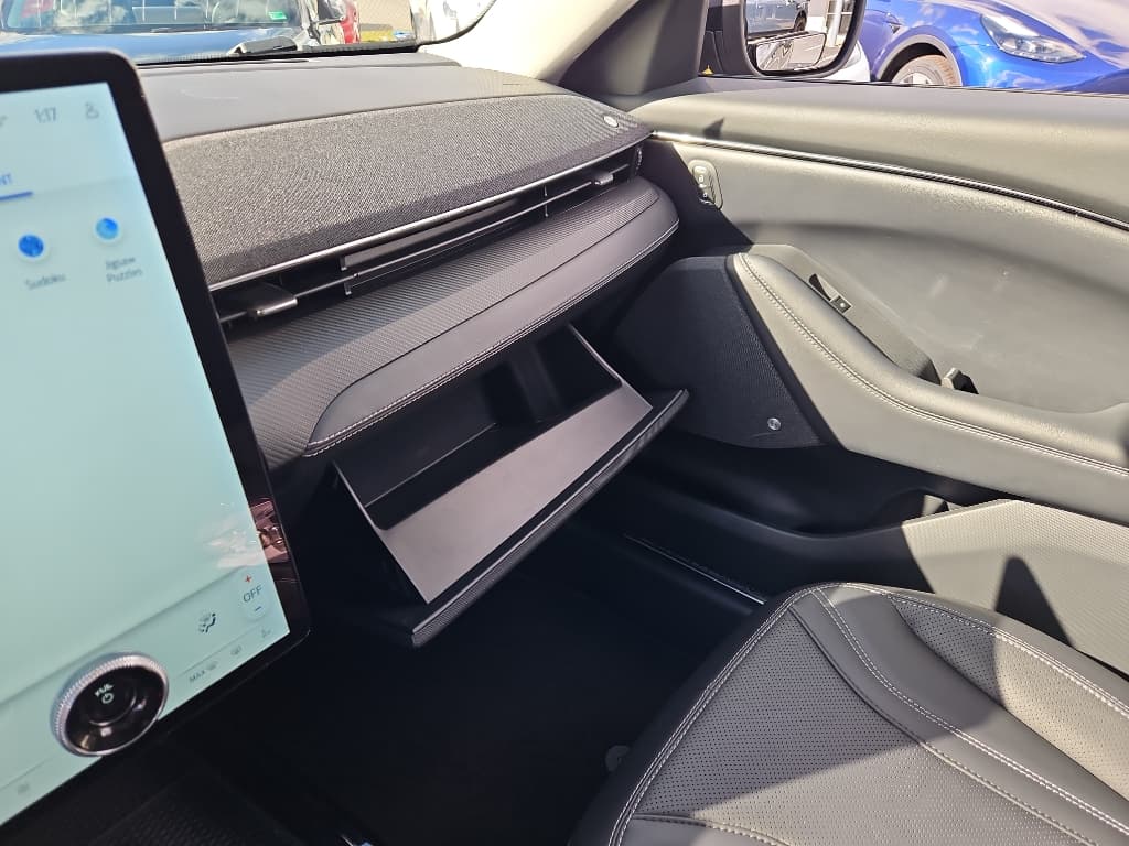 2021 Ford Mustang Mach-E view 18