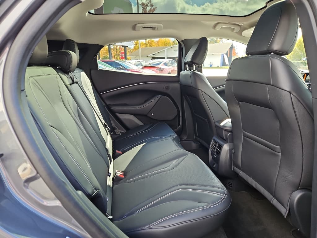 2021 Ford Mustang Mach-E view 20