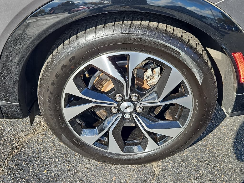 2021 Ford Mustang Mach-E view 29